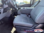 2025 F-150 Thumbnail 15