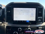 2025 F-150 Thumbnail 18
