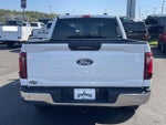 2024 F-150 Thumbnail 4