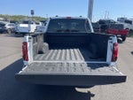 2024 F-150 Thumbnail 10
