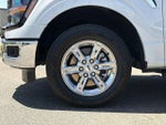 2025 F-150 Thumbnail 29