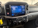 2025 F-150 Thumbnail 4
