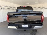 2025 F-150 Thumbnail 19