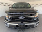 2025 F-150 Thumbnail 22
