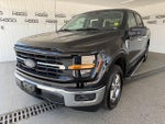 2025 F-150 Thumbnail 24