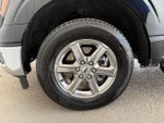 2025 F-150 Thumbnail 26