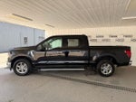 2025 F-150 Thumbnail 28