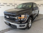 2025 F-150 Thumbnail 29