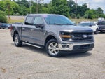 2024 F-150 Thumbnail 1