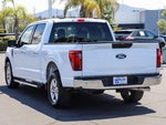 2025 F-150 Thumbnail 6