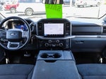 2025 F-150 Thumbnail 12