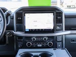 2025 F-150 Thumbnail 13