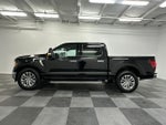 2024 F-150 Thumbnail 4