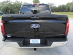 2024 F-150 Thumbnail 6