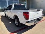 2025 F-150 Thumbnail 4