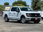 2025 F-150 Thumbnail 1