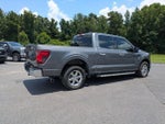 2024 F-150 Thumbnail 4