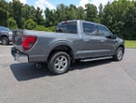 2024 F-150 Thumbnail 5