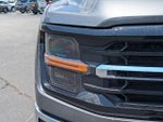 2024 F-150 Thumbnail 10