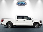 2025 F-150 Thumbnail 3