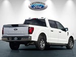 2025 F-150 Thumbnail 4