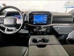 2025 F-150 Thumbnail 11