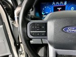 2025 F-150 Thumbnail 14