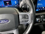2025 F-150 Thumbnail 15