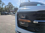 2024 F-150 Thumbnail 10
