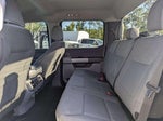 2024 F-150 Thumbnail 15