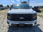 2024 F-150 Thumbnail 9