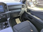 2024 F-150 Thumbnail 17