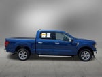 2025 F-150 Thumbnail 5