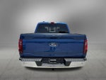 2025 F-150 Thumbnail 8