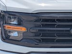 2025 F-150 Thumbnail 10