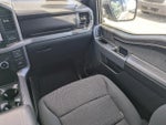 2025 F-150 Thumbnail 17