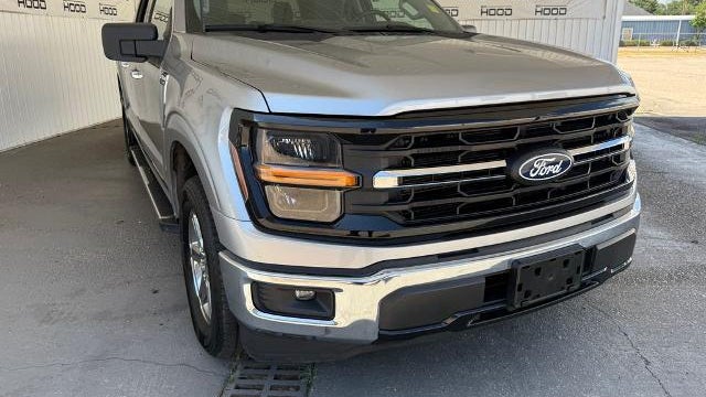Preowned 2025 Ford F-150 XLT for Sale
