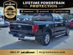 2025 F-150 Thumbnail 5