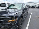 2024 F-150 Thumbnail 3