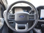 2024 F-150 Thumbnail 10