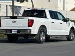 2025 F-150 Thumbnail 4