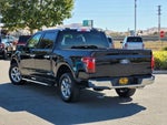 2025 F-150 Thumbnail 6