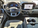 2025 F-150 Thumbnail 13