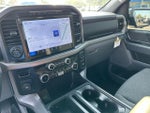 2024 F-150 Thumbnail 14