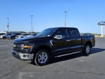 2024 F-150 Thumbnail 3