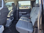 2024 F-150 Thumbnail 6