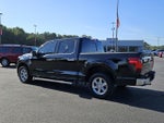 2024 F-150 Thumbnail 9