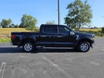 2024 F-150 Thumbnail 13