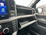2025 F-150 Thumbnail 24