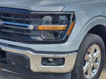 2025 F-150 Thumbnail 8